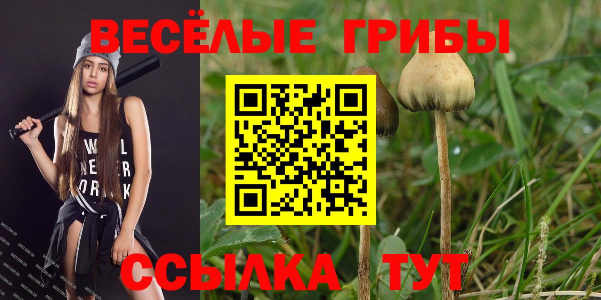 Галлюциногенные грибы Magic Shrooms Калач-на-Дону